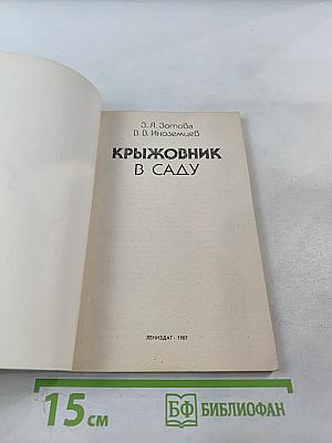 Крыжовник в саду