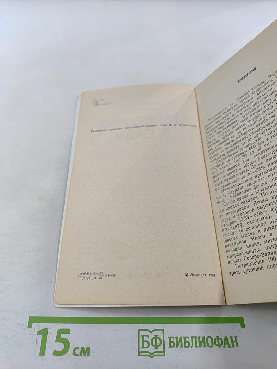 Крыжовник в саду