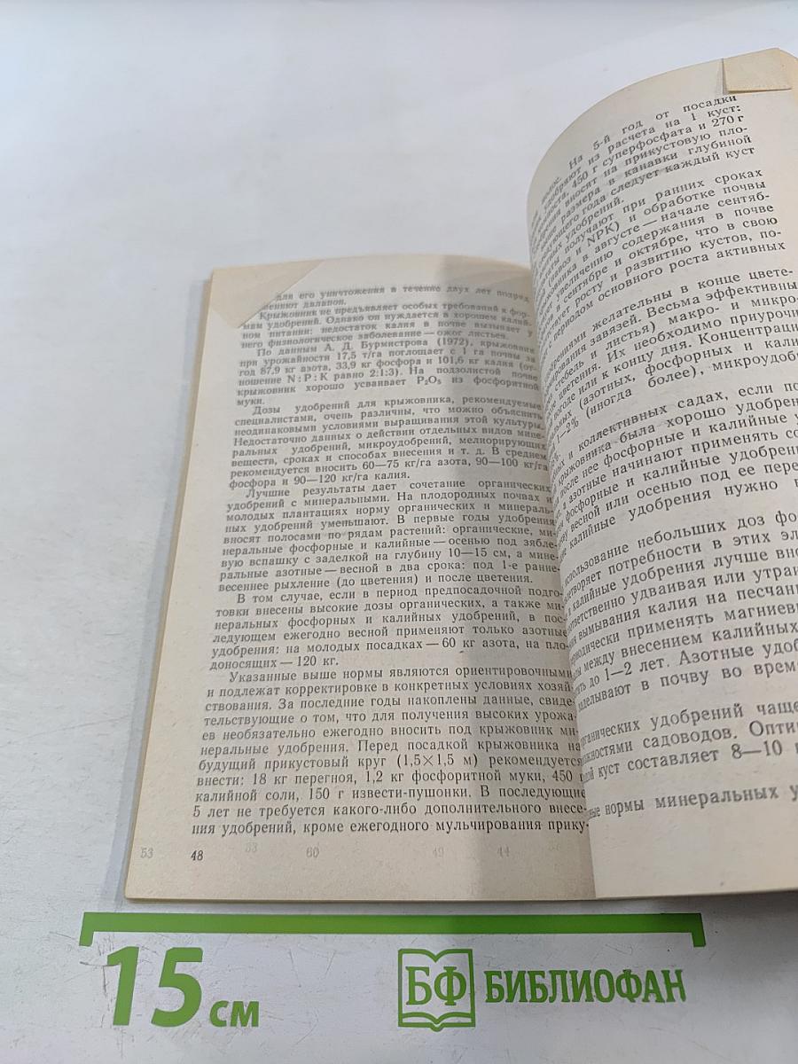 Крыжовник в саду