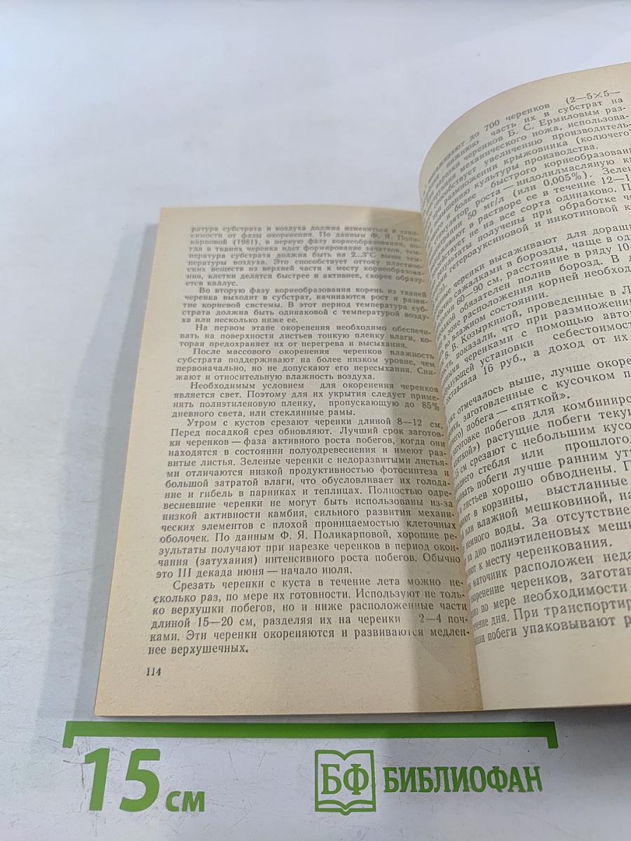 Крыжовник в саду