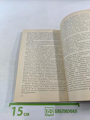 Крыжовник в саду