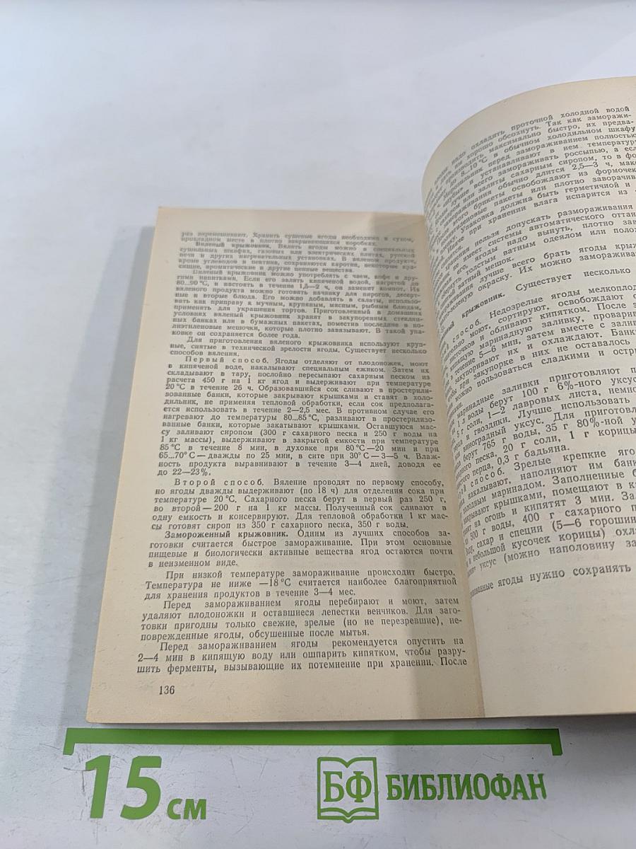 Крыжовник в саду