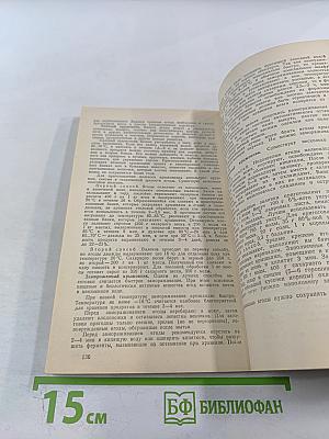 Крыжовник в саду