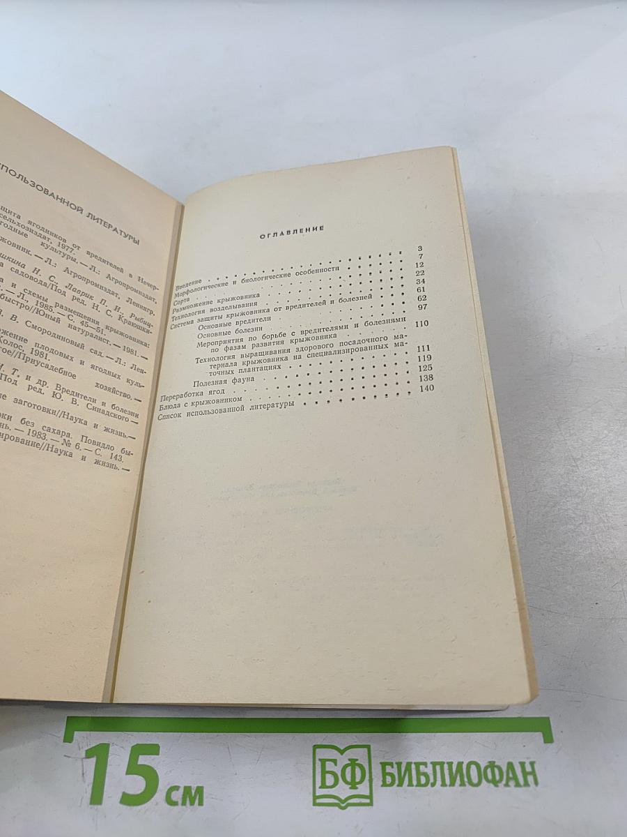 Крыжовник в саду