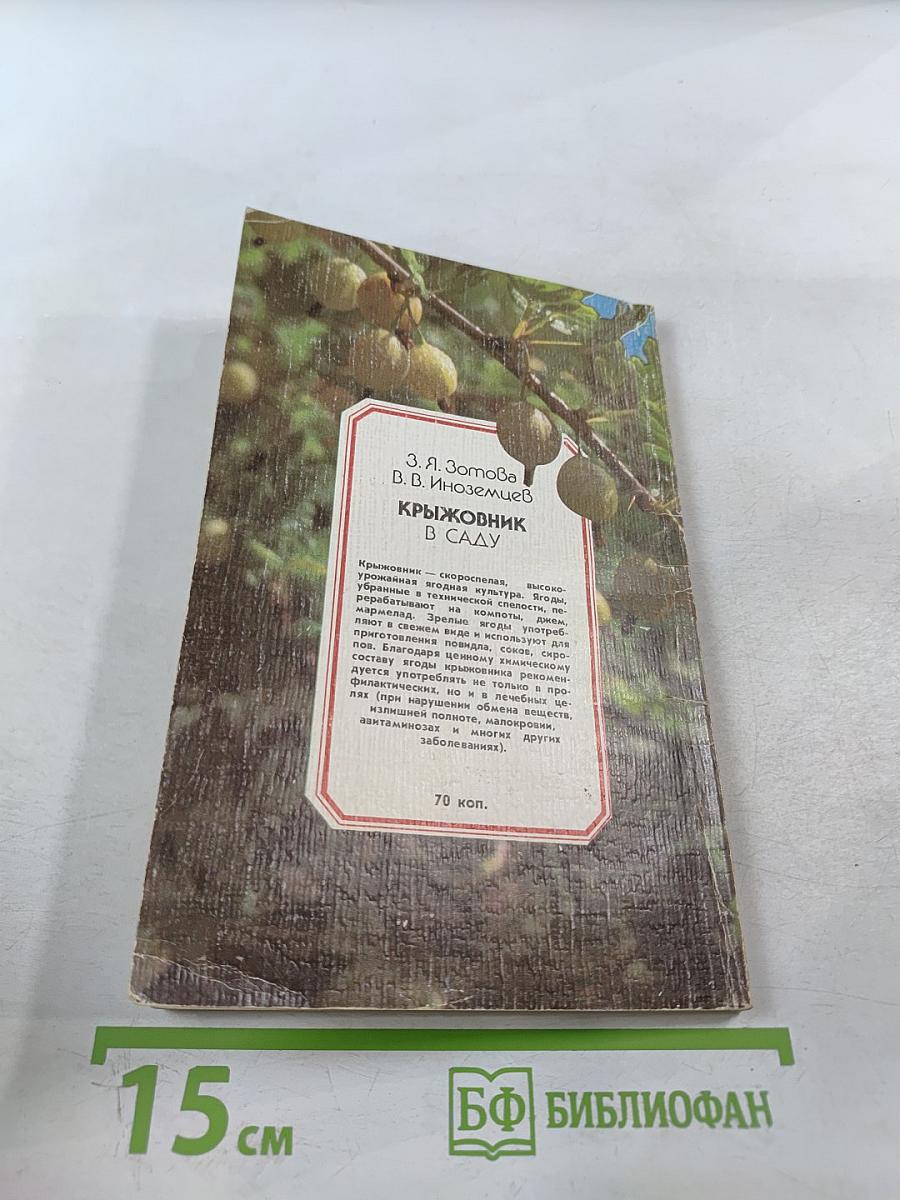 Крыжовник в саду