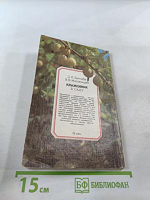 Крыжовник в саду