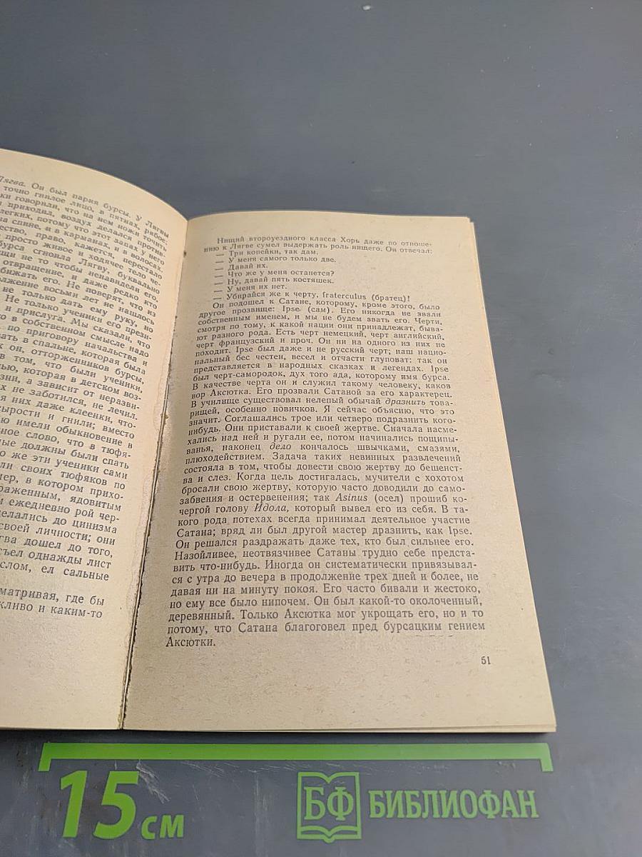 Очерки бурсы