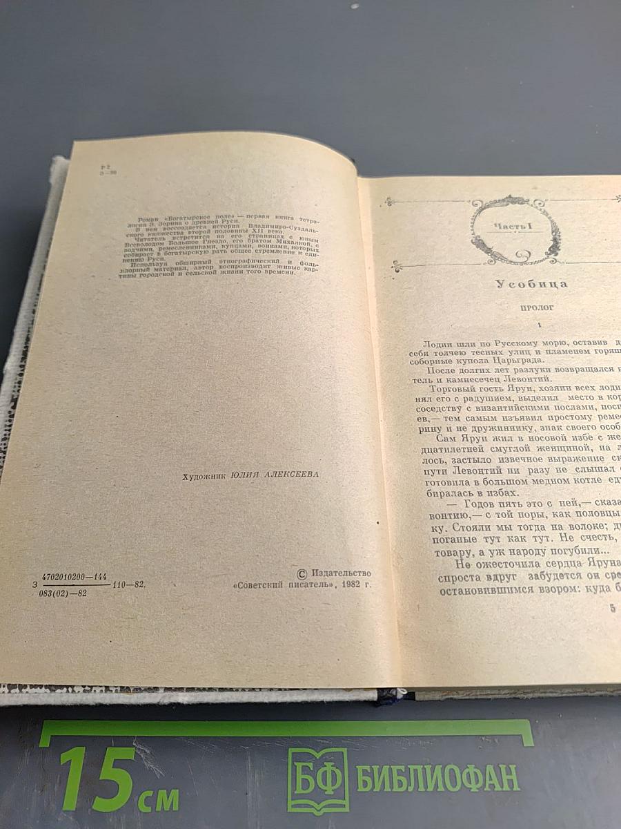 Богатырское поле