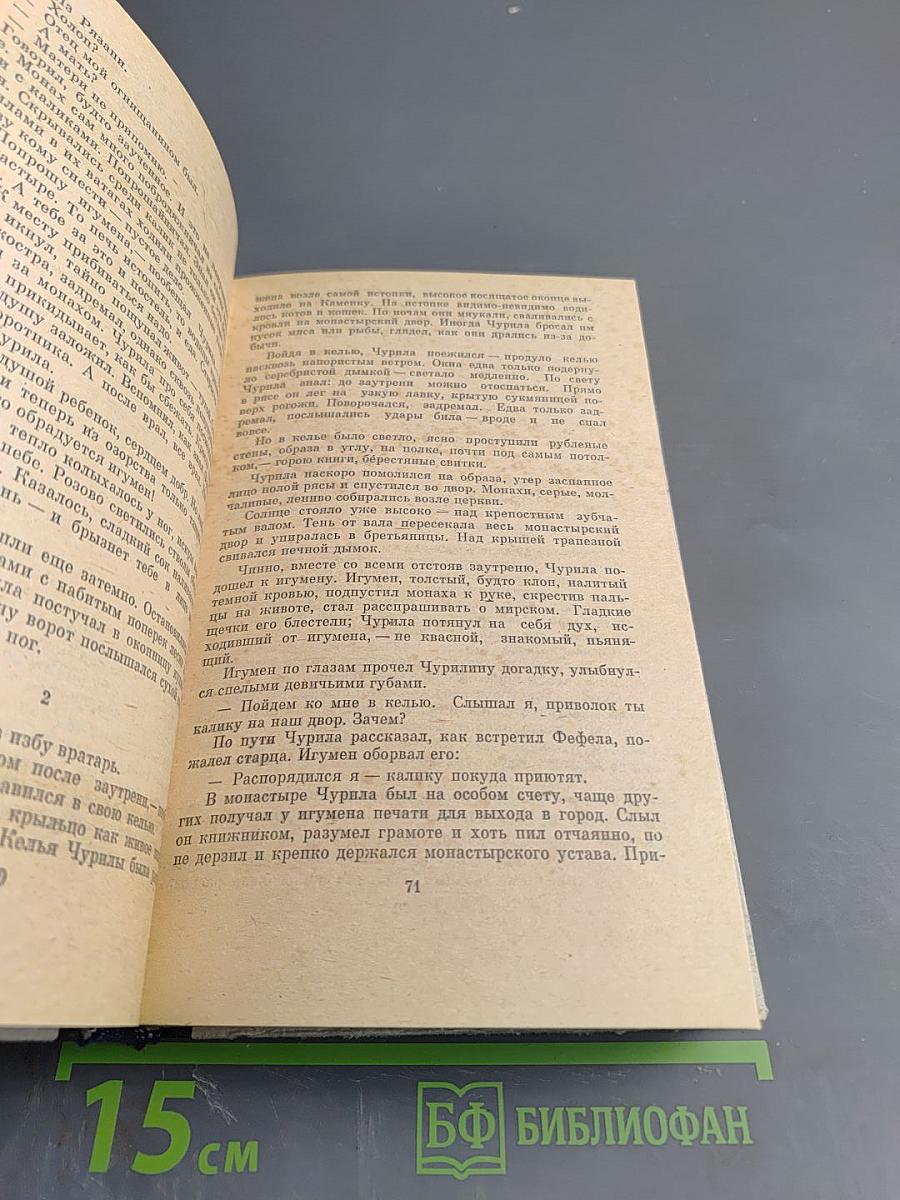 Богатырское поле