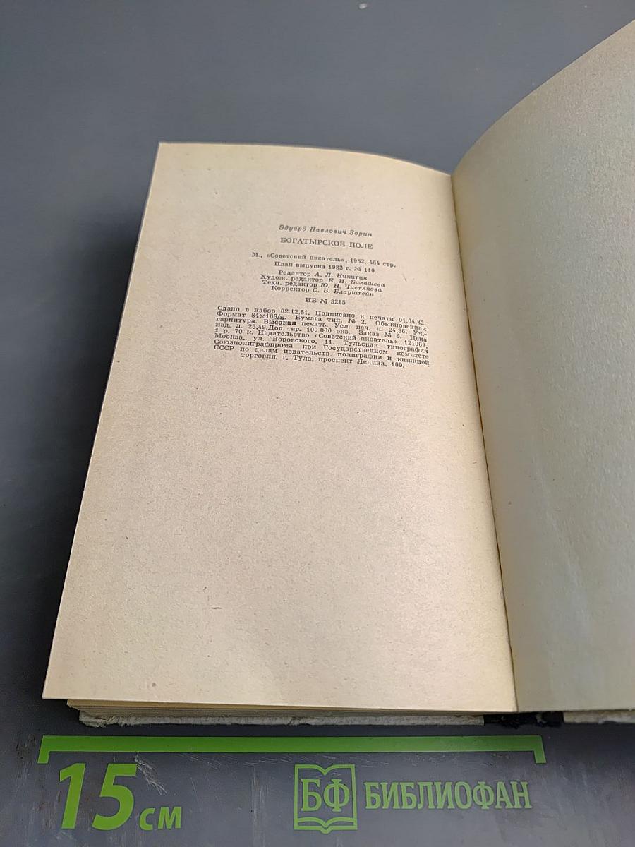 Богатырское поле