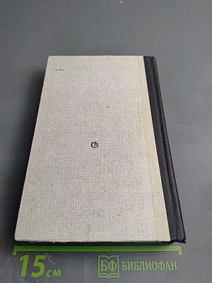 Богатырское поле