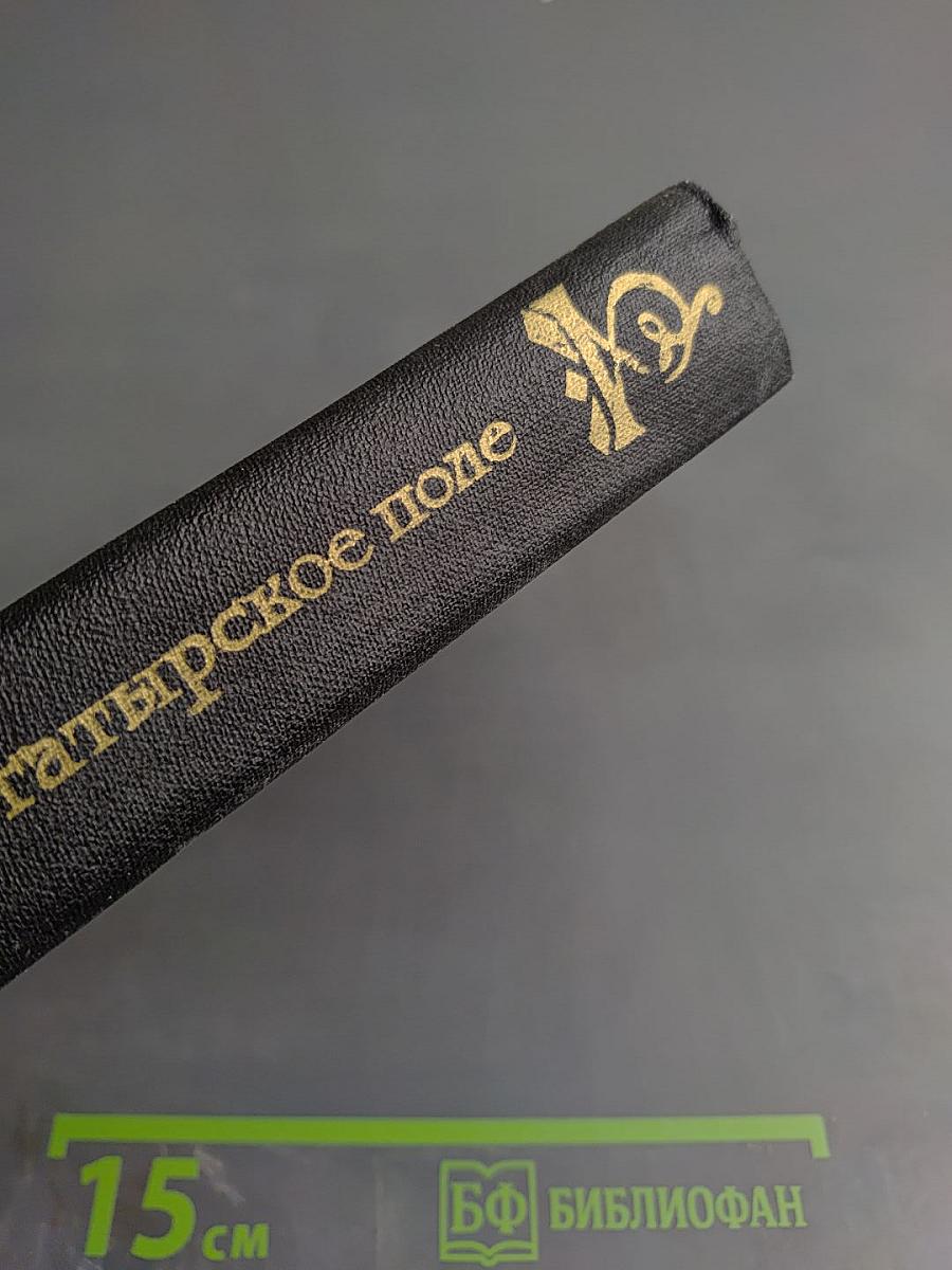 Богатырское поле