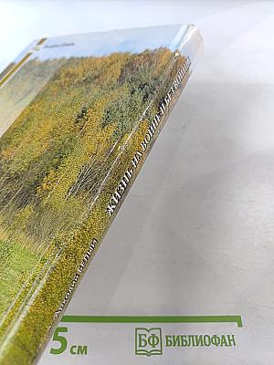 Жизнь на войне и без войны. Исповедь неизвестного солдата