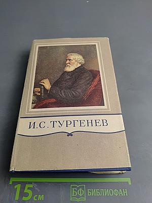 Сочинения. Том четырнадцатый. Воспоминания. Критика и публицистика 1854-1883