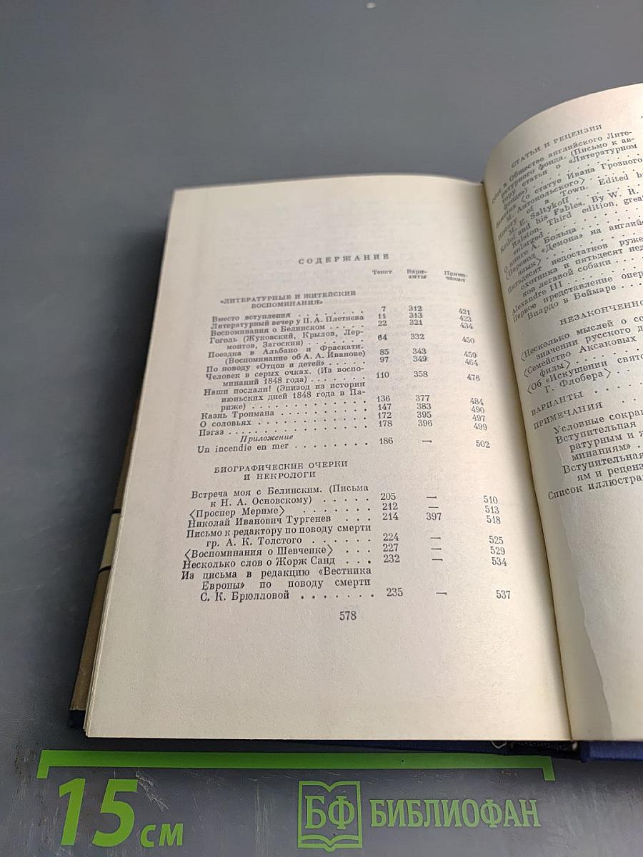 Сочинения. Том четырнадцатый. Воспоминания. Критика и публицистика 1854-1883