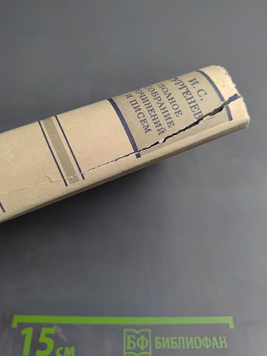 Сочинения. Том четырнадцатый. Воспоминания. Критика и публицистика 1854-1883