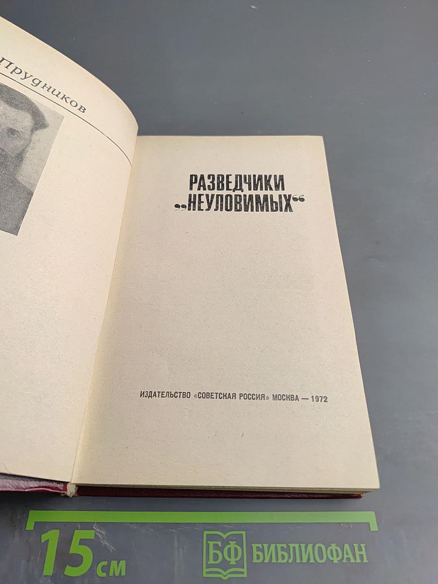 Разведчики «Неуловимых»