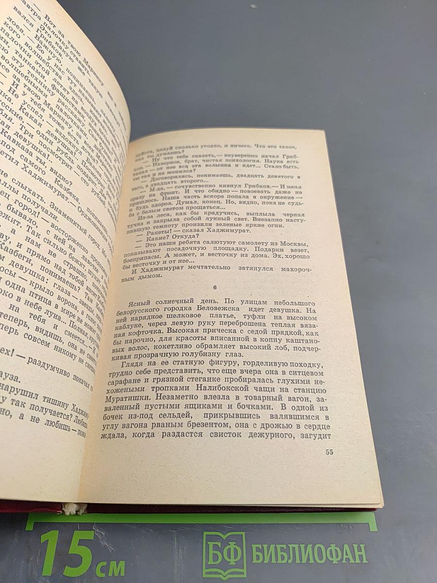 Разведчики «Неуловимых»