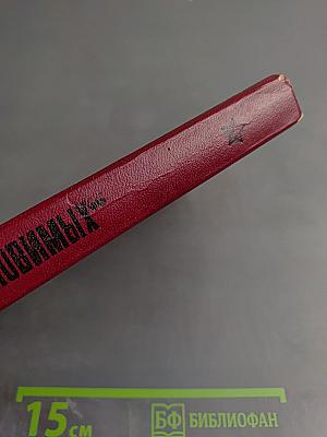 Разведчики «Неуловимых»