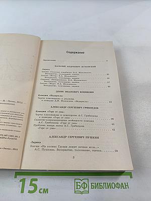 100 Лучших сочинений для школьников для 10-11 классов