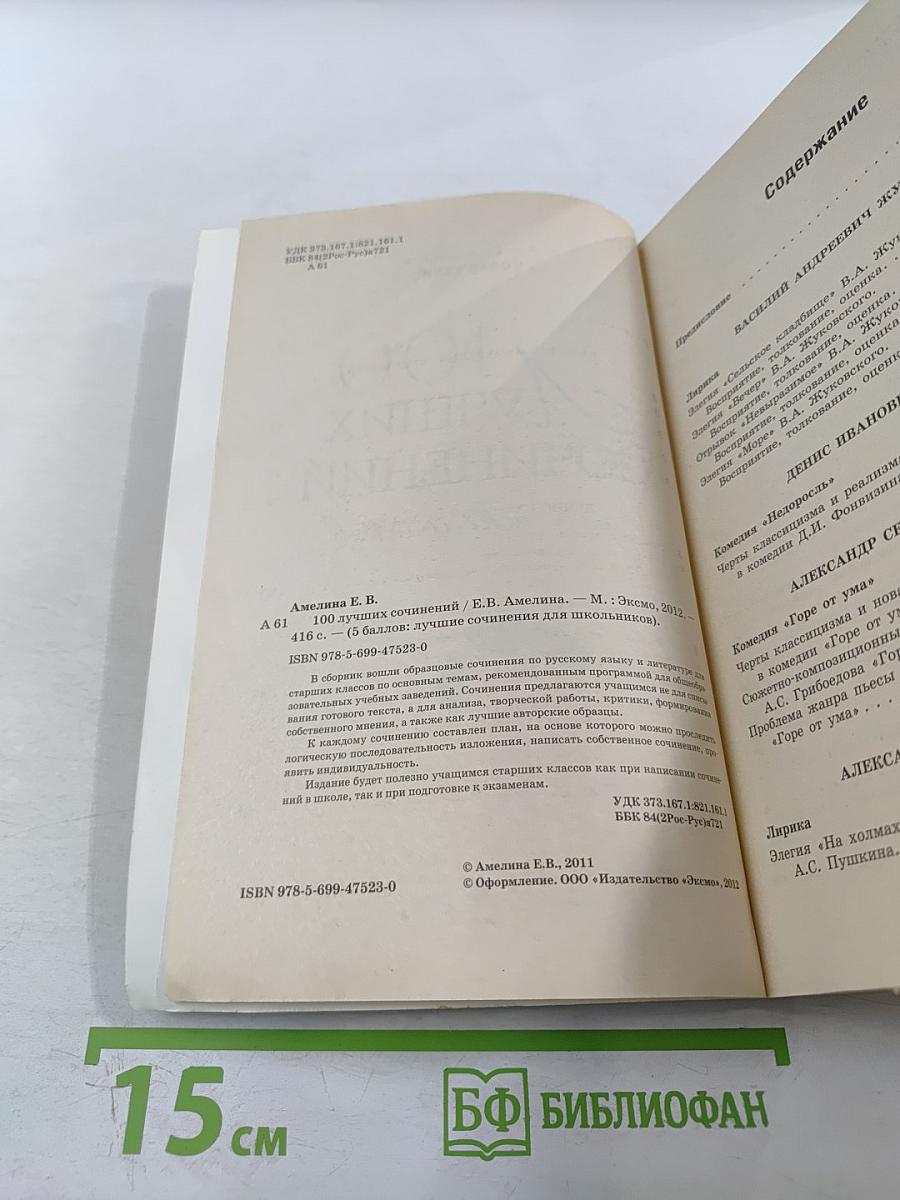 100 Лучших сочинений для школьников для 10-11 классов