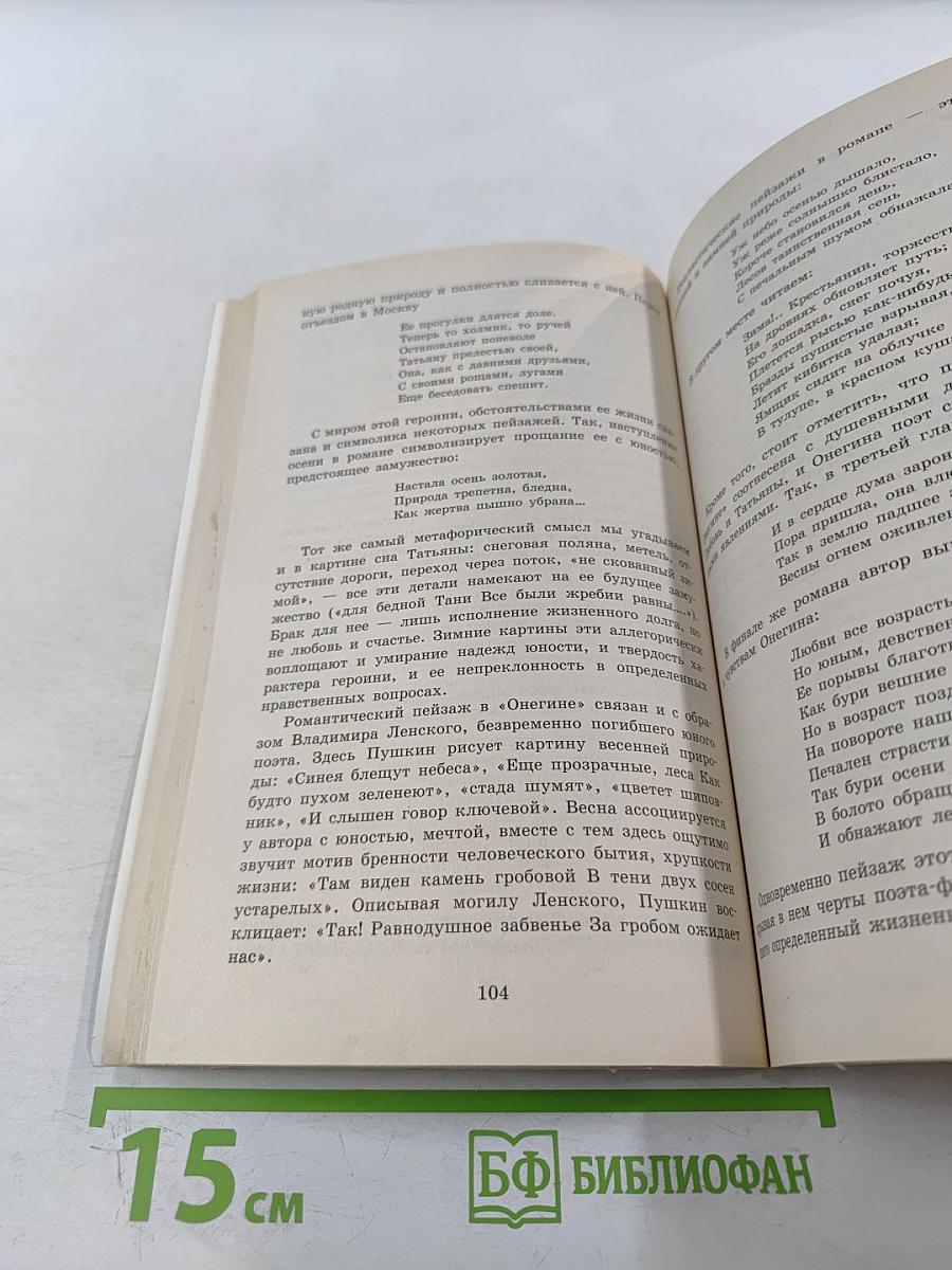100 Лучших сочинений для школьников для 10-11 классов