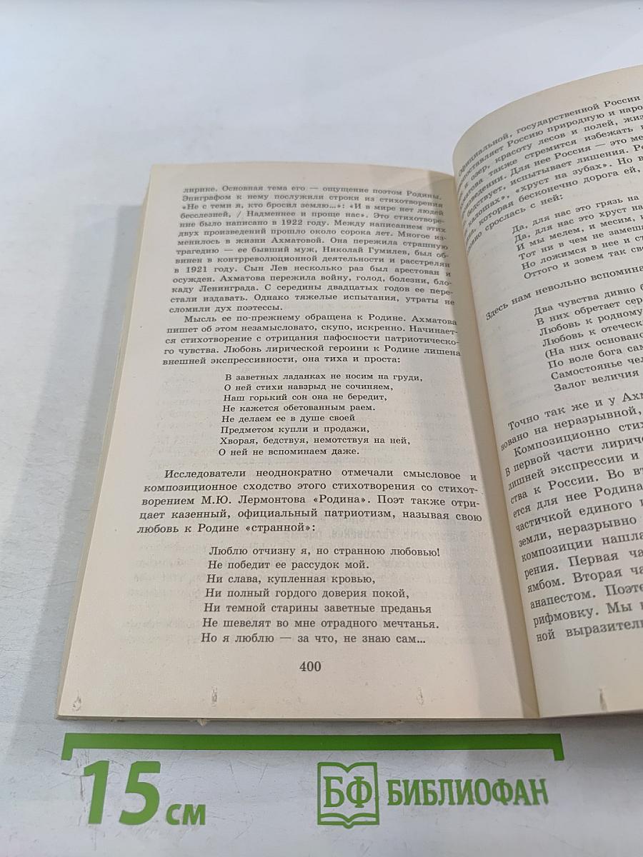 100 Лучших сочинений для школьников для 10-11 классов