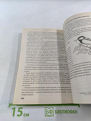 Вопросы и ответы