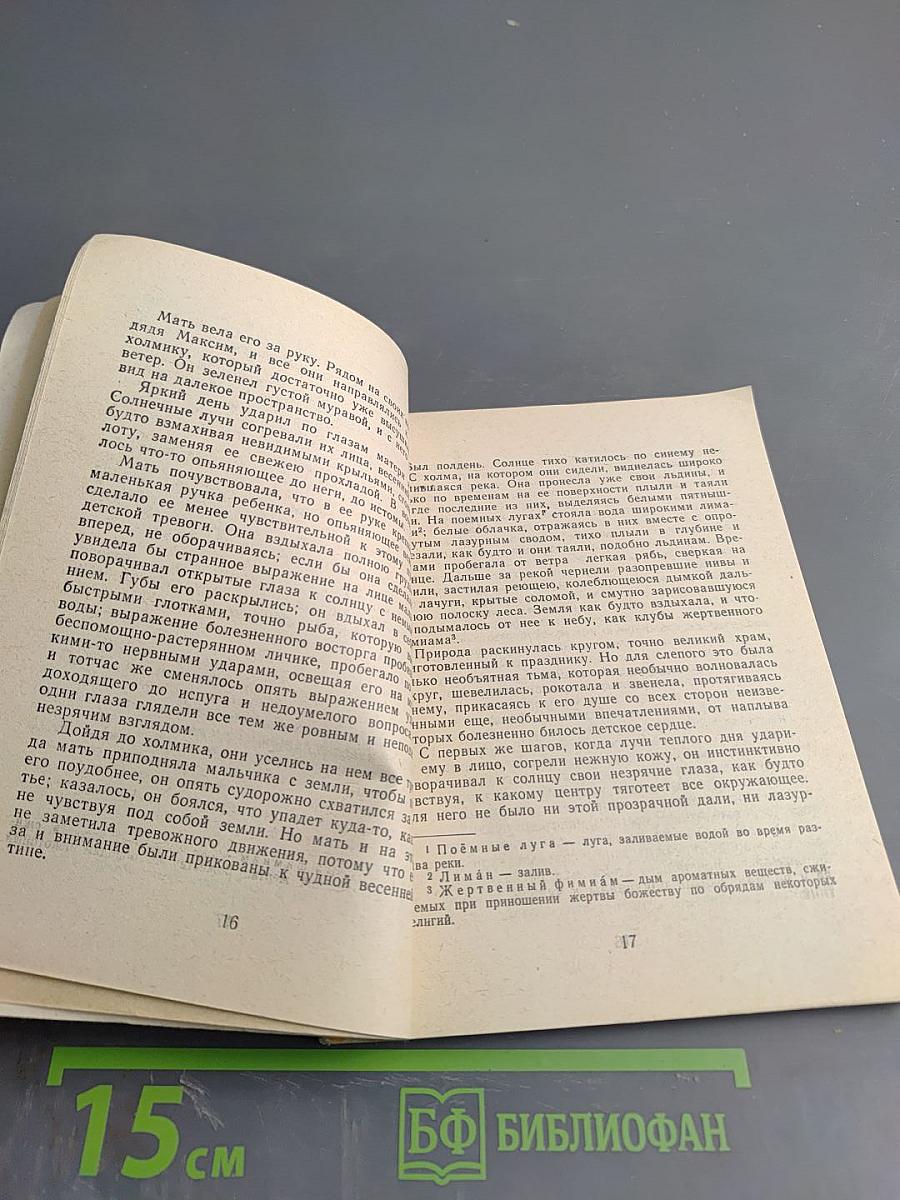 Слепой музыкант. Повесть и рассказы.