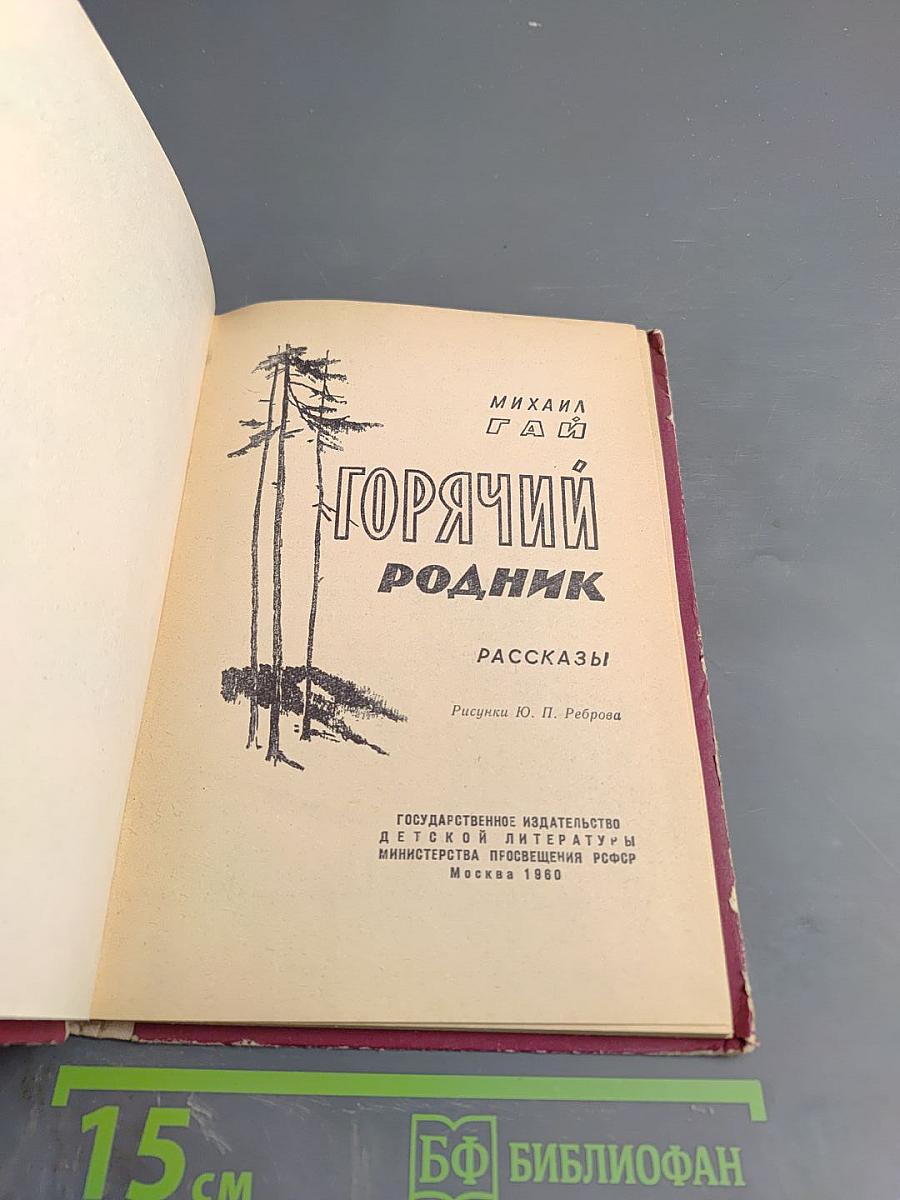 Горячий родник