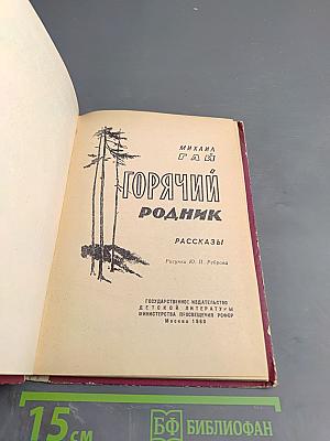 Горячий родник