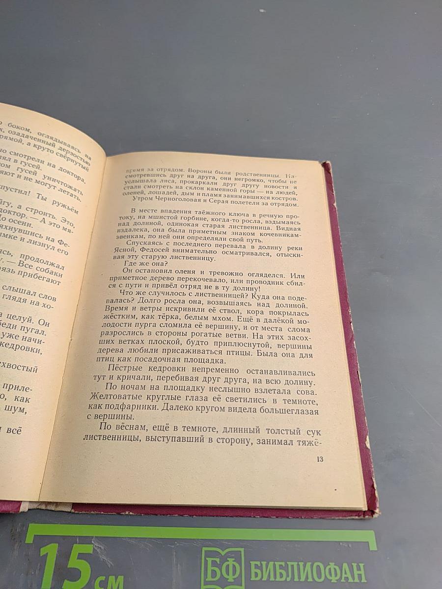 Горячий родник