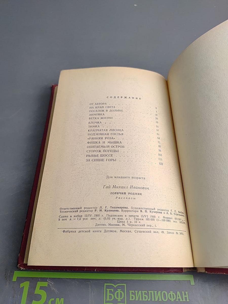 Горячий родник