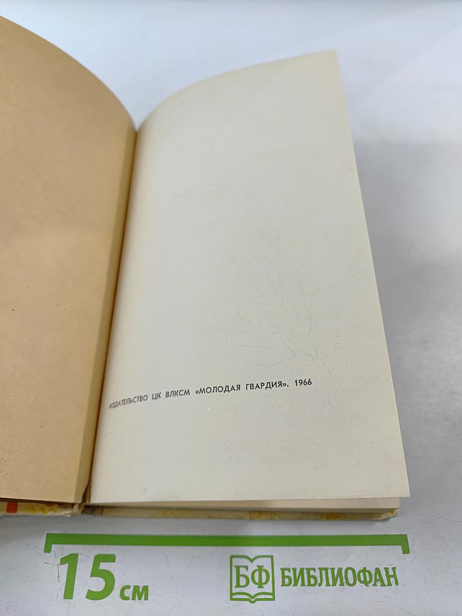 Повесть о светлом мальчике