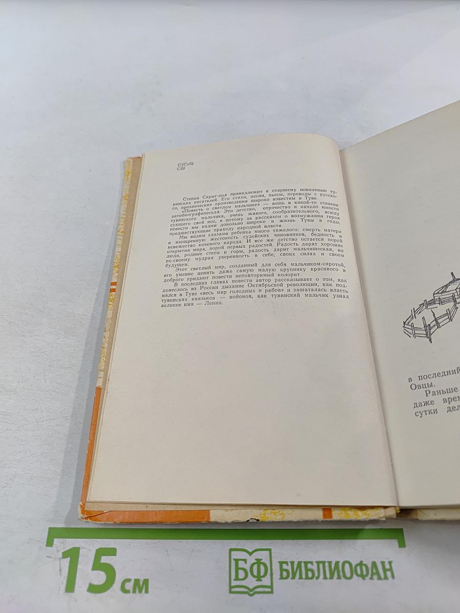 Повесть о светлом мальчике