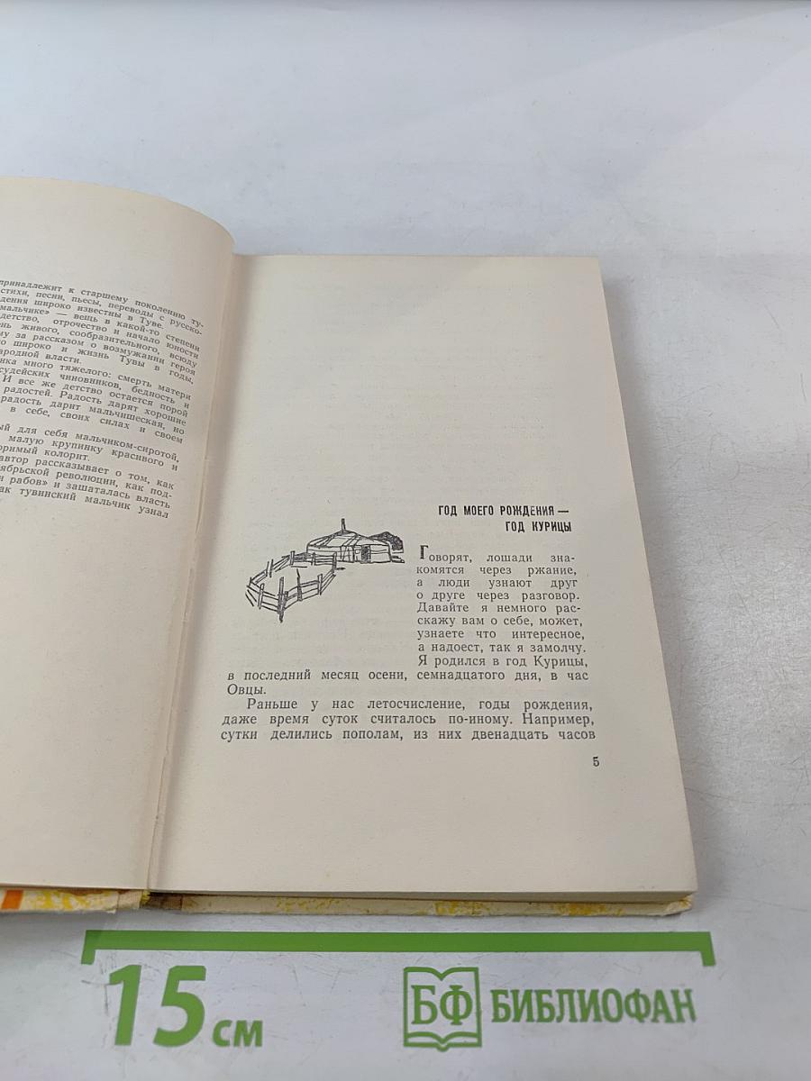 Повесть о светлом мальчике