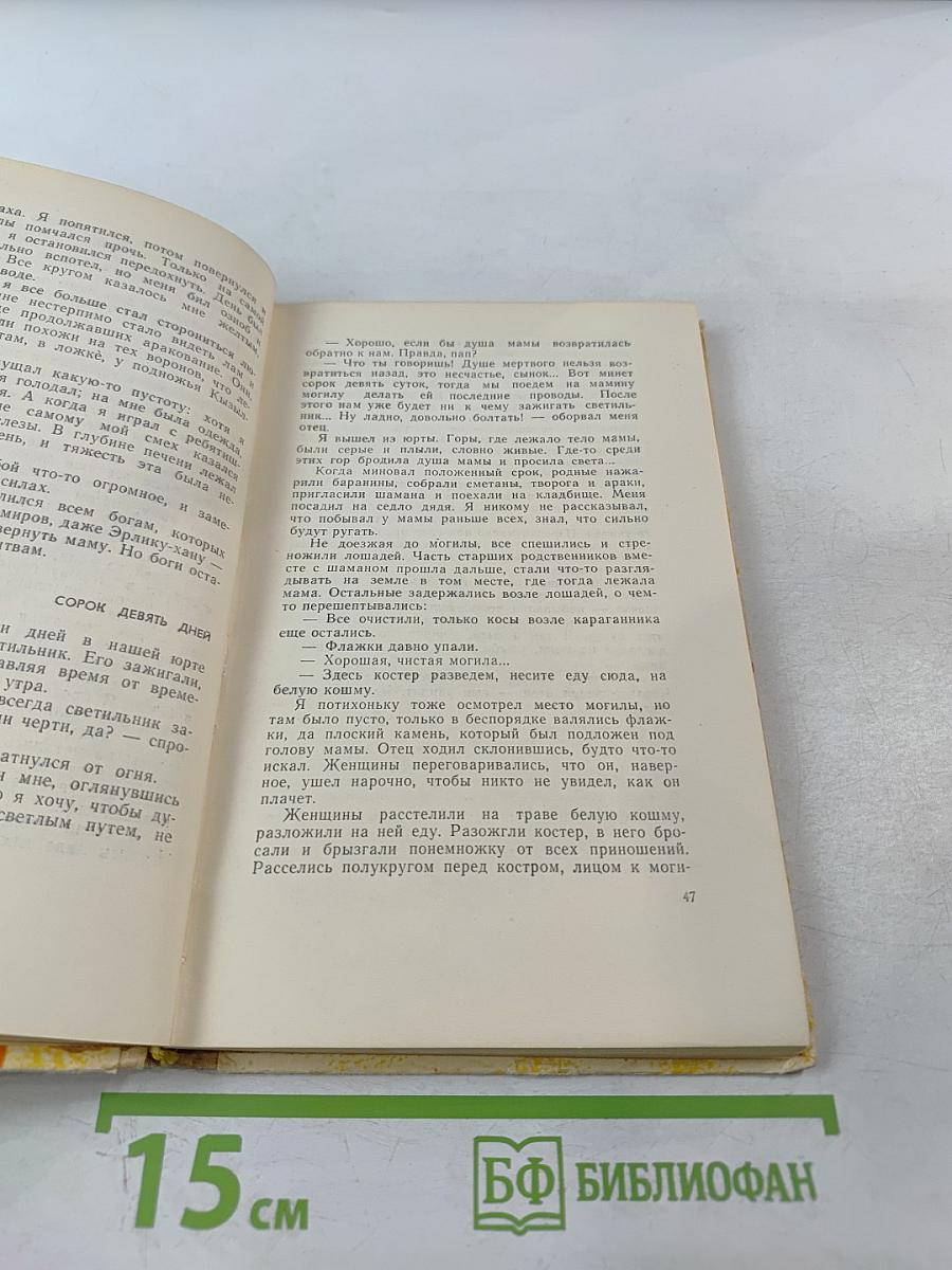 Повесть о светлом мальчике