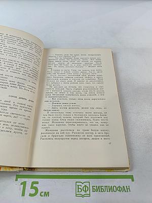 Повесть о светлом мальчике