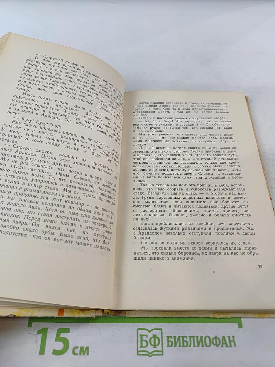 Повесть о светлом мальчике