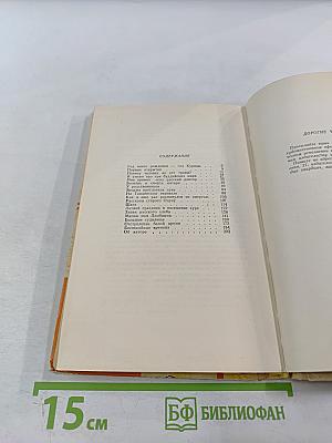 Повесть о светлом мальчике