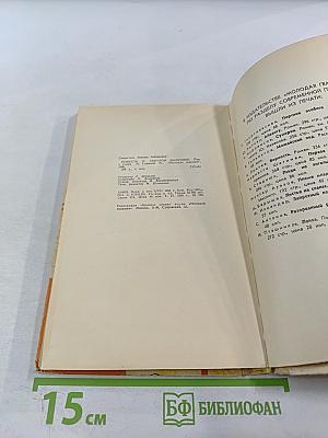 Повесть о светлом мальчике