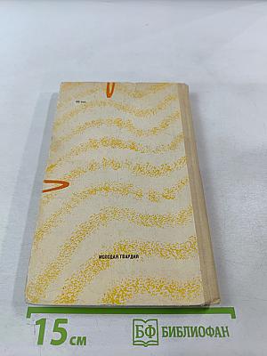 Повесть о светлом мальчике