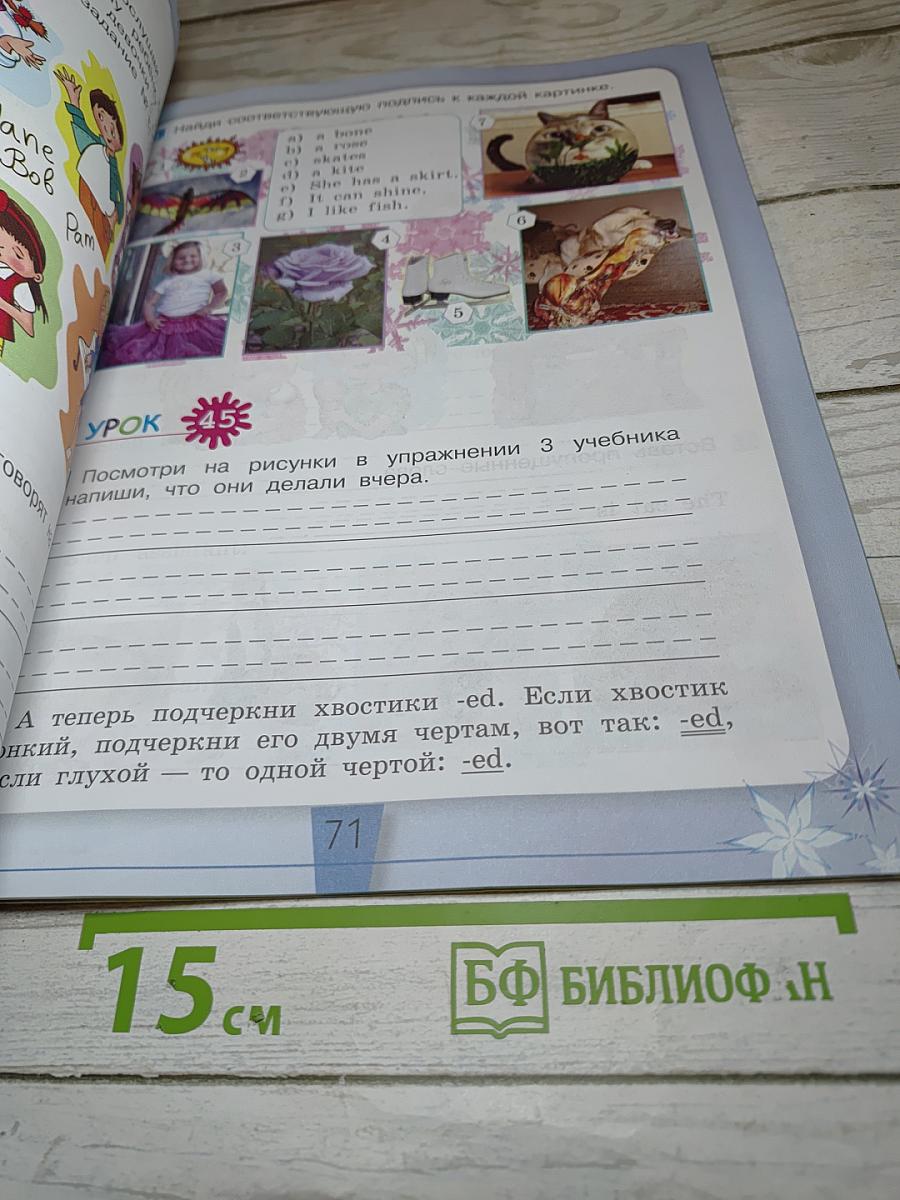 Английский язык. Рабочая тетрадь. 2 класс. Часть 2