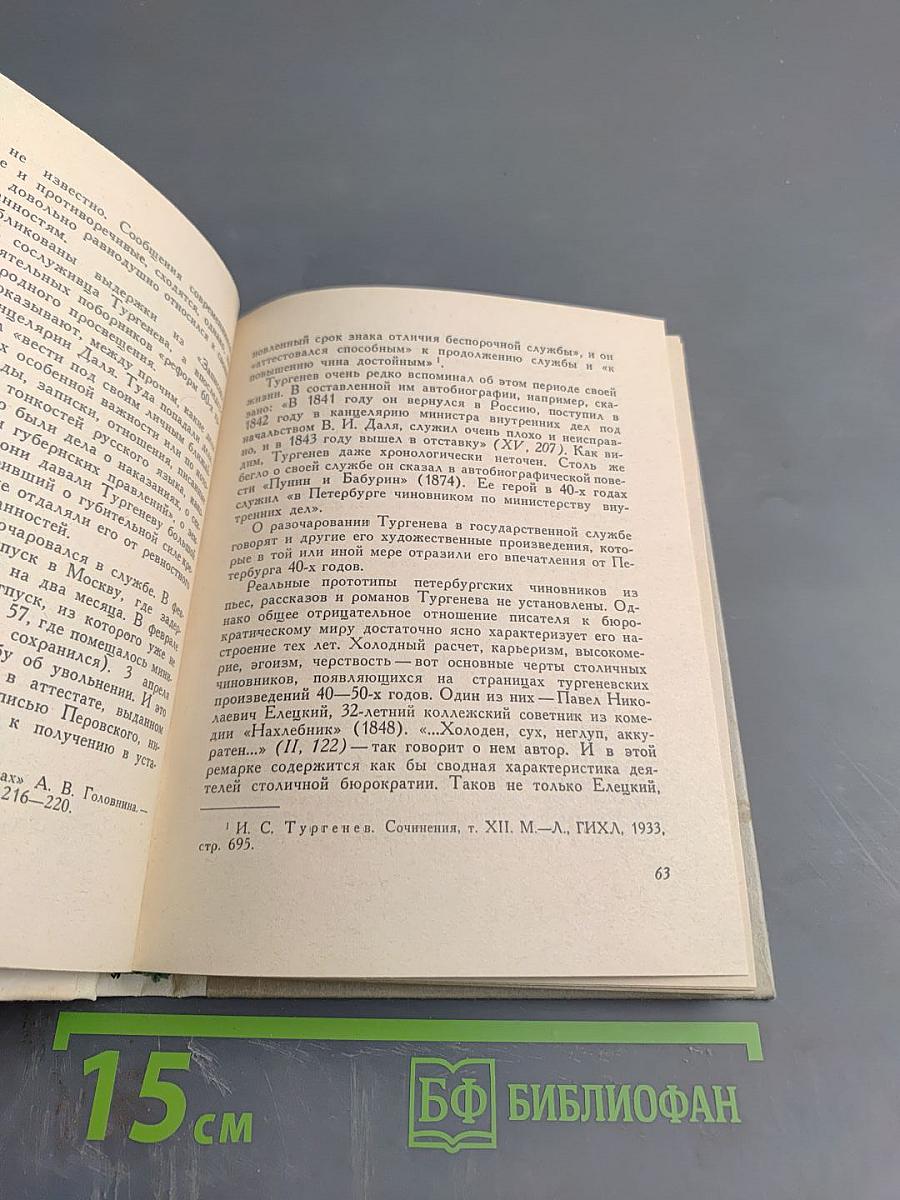 Тургенев в Петербурге