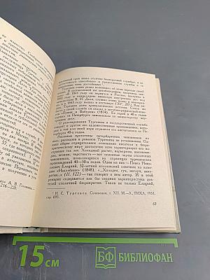 Тургенев в Петербурге