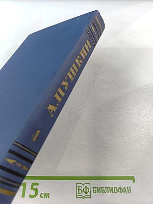 Полное собрание сочинений. Том 4. Романы и повести