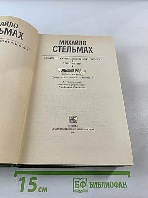 Большая родня. Роман-хроника. Том 3