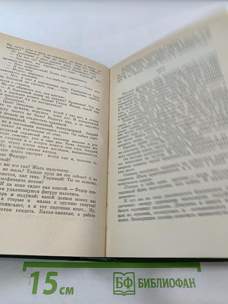 Большая родня. Роман-хроника. Том 3