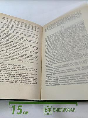 Большая родня. Роман-хроника. Том 3