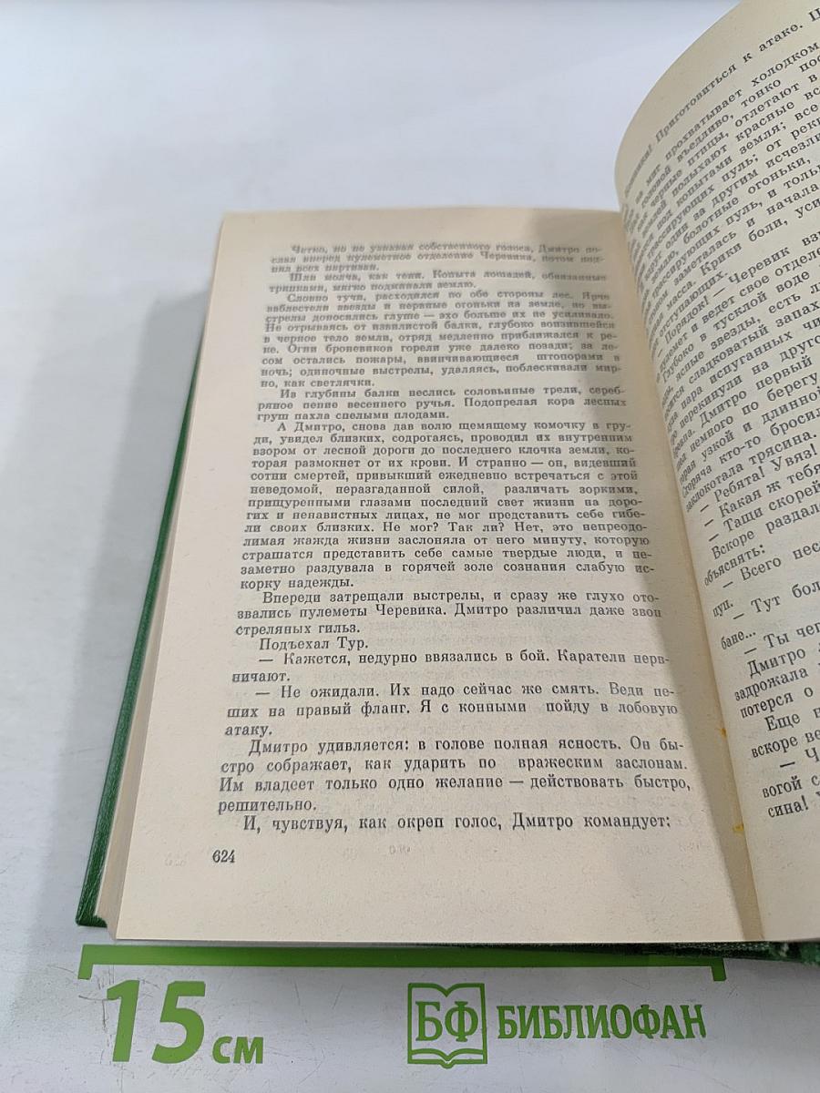 Большая родня. Роман-хроника. Том 3